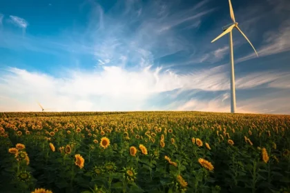 A Greener Tomorrow: The Shift to Clean Energy Investments